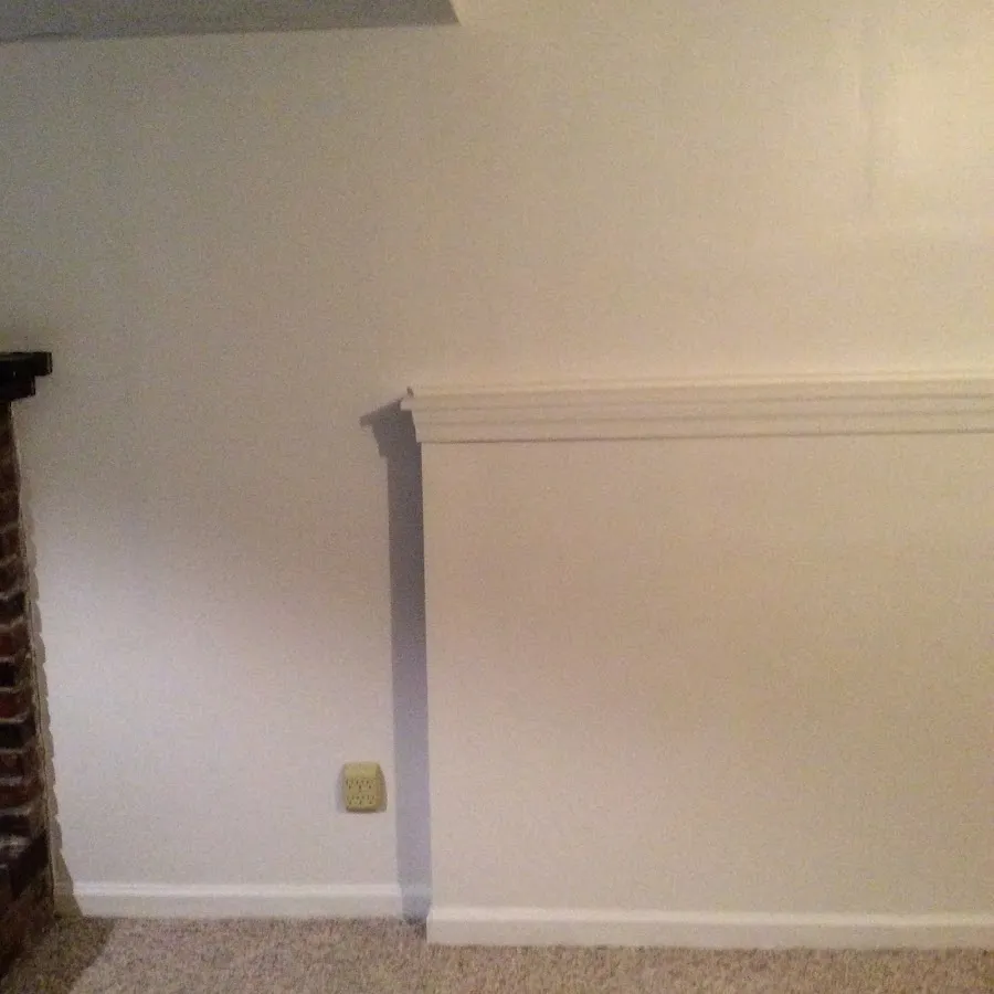 Basement wall repair and restoration in Valrico