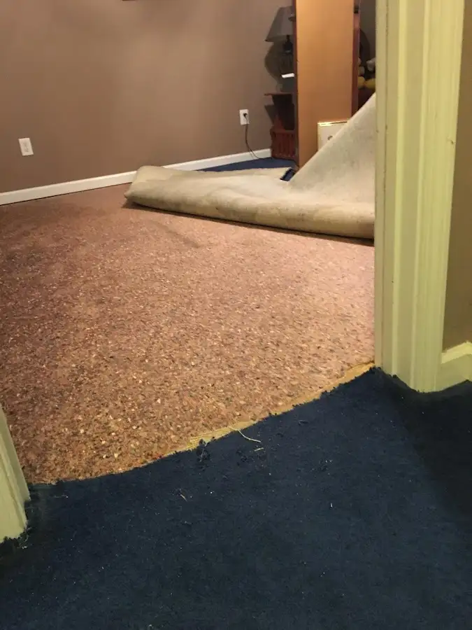 Carpet pad removal revealing water damage during Drying & Dehumidification in Valrico