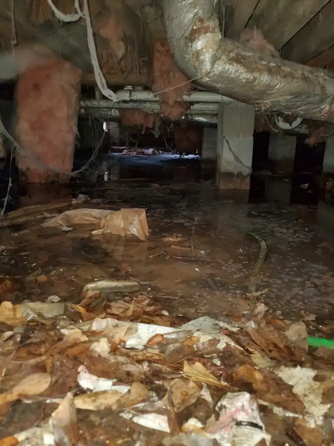 Crawl space flood assessment for Leak Detection & Repair in Valrico