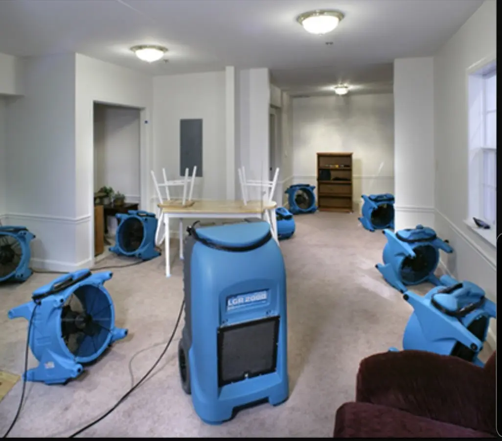 Air movers and dehumidifier setup for Water Extraction & Removal in Valrico