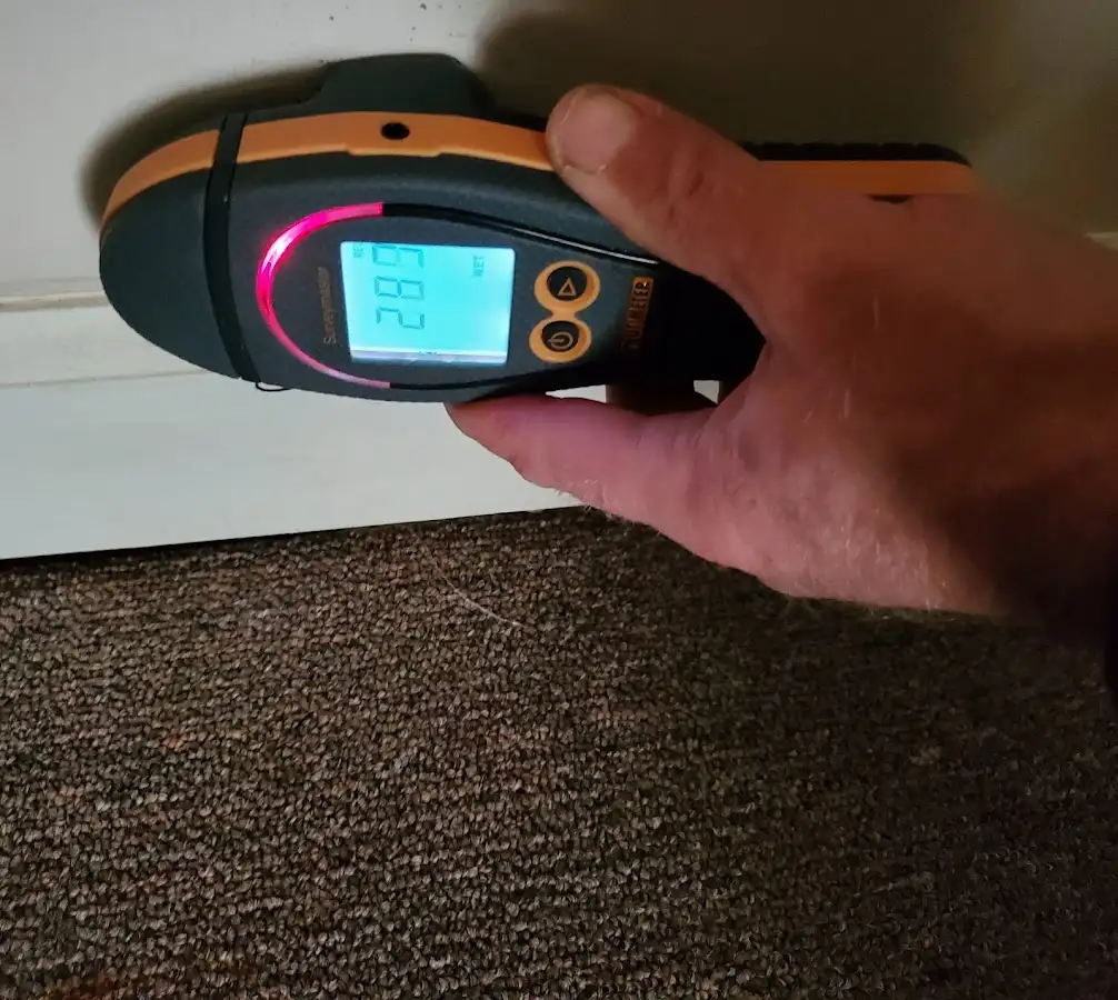 Moisture detection at baseboard during Sewage Cleanup & Sanitation in Valrico